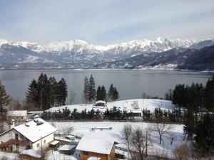 a view of a lake and snowy mountains at B&B Villa al Lago in Farra dʼAlpago