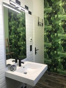 La salle de bains est pourvue d'un lavabo blanc et d'un miroir. dans l'établissement Le Dortoir des Templiers, à Enquin-les-Mines