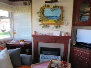 ein Wohnzimmer mit einem Kamin und einem TV in der Unterkunft Beach Resort Kamperland - 784 in Kamperland