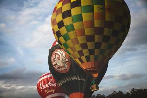 Foto dalla galleria di Avondale Guest House a York