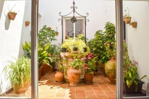 a room filled with potted plants and a mirror at Villa Alexia - Complex in Port de Pollensa