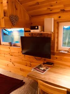 a living room with a television on a wooden wall at le chalet de la ferme du tertre in Villers-au-Tertre