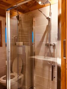 a shower stall in a bathroom with a toilet at le chalet de la ferme du tertre in Villers-au-Tertre