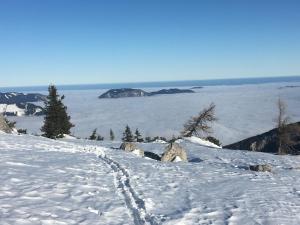 Paesaggio naturale nelle vicinanze dell'appartamento