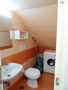蓬扎的住宿－Cavadozza，浴室配有卫生间水槽和洗衣机。