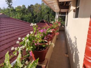 Zahrada ubytování Srinikethana Home Stay with Swimming Pool