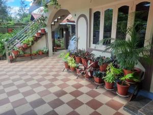 Zahrada ubytování Srinikethana Home Stay with Swimming Pool