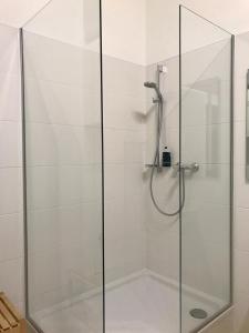 a shower with a glass enclosure in a bathroom at Apartments near Augarten in Vienna