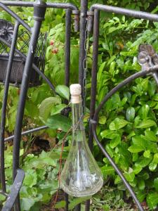 Zahrada ubytování Au Coeur Des Vignes