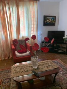 Gallery image of Coco Land in Sainte-Anne