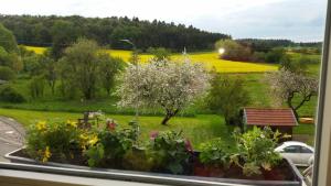 Ein Garten an der Unterkunft Haus Kunterbunt