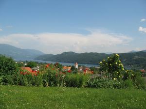 ein grünes Feld mit Blumen und einem See im Hintergrund in der Unterkunft Landhaus Egger in Seeboden