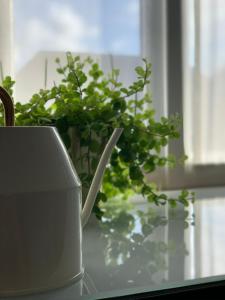 una tazza di caffè bianca seduta accanto a una pianta in vaso di Villa Monique a Koksijde