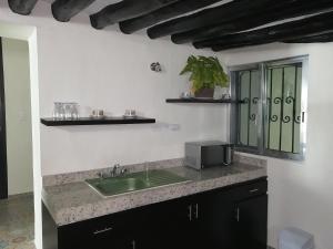 a kitchen with a sink and a microwave at Casa Mama Bety in Valladolid