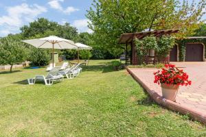 Zahrada ubytování Studio apartman Branka