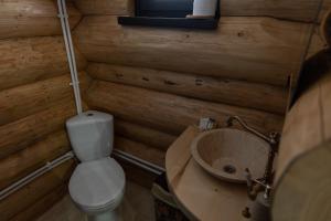 Ένα μπάνιο στο Pensiunea Lupul Dacic +87 φωτογραφίες