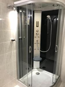 a shower with a glass door in a bathroom at Luxury Basement in the surrounding of Budapest in Mogyoród