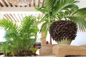 Posezení v ubytování Peponi Hotel Lamu - Kenya