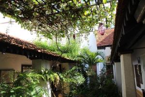 Zahrada ubytování Peponi Hotel Lamu - Kenya