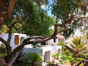 Zahrada ubytování Peponi Hotel Lamu - Kenya