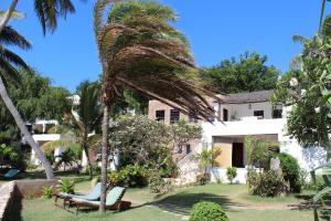 Zahrada ubytování Peponi Hotel Lamu - Kenya
