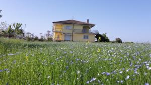 a house on a hill with a field of flowers at Villa Marianna in Vasto