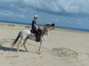 mężczyzna jeżdżący konno na plaży w obiekcie Refúgios Parajuru - Villa Cristiano w mieście Parajuru