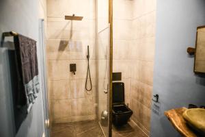 een badkamer met een douche, een toilet en een wastafel bij Sunrise Apartment in Kamjanets-Podilsky