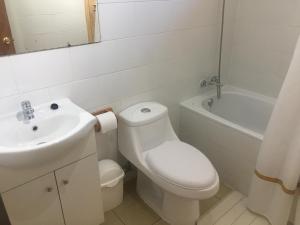 Koupelna v ubytování Cabañas Huelquehue