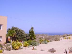 a beach with plants and a building and the ocean at Khoinonia Guesthouse in Port Nolloth