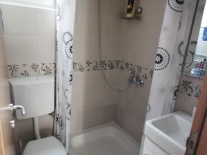 a bathroom with a shower and a toilet and a sink at Apartman Gušt in Herceg-Novi