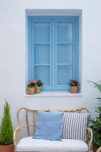 Ogród w obiekcie Apartamento Cádiz Centro Blue Window