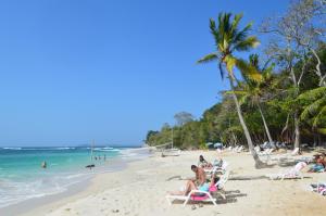 Gallery image of Sonny Island Resort in Punta Bajo Rico