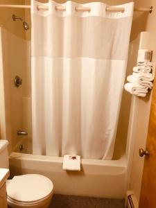 a bathroom with a toilet and a shower curtain at Hotel Terrace in Millinocket