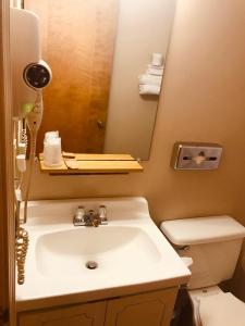 a white toilet sitting next to a sink in a bathroom at Hotel Terrace in Millinocket