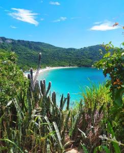 a view of a beach with a cactus at Calango's Beach-House-Arraial do Cabo in Arraial do Cabo