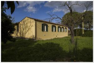 a small yellow building in a field with a tree at Casa Nanni in Portoferraio +19 photos