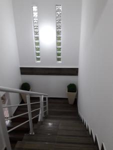 a hallway with stairs and a window and plants at Apartamento na Praia de Pontal do Sul- Pontal do Paraná in Pontal do Paraná +1 photo