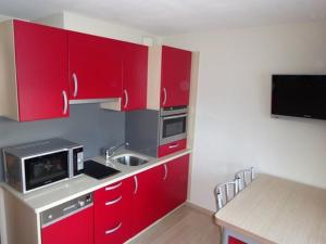 a kitchen with red cabinets and a sink at BIENVENUE AU LIORAN in Le Lioran