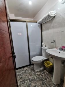 a bathroom with a toilet and a sink at DEPARTAMENTOS OAXACA MÁGICO in Oaxaca City