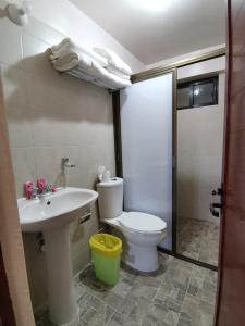 y baño con aseo y lavamanos. en DEPARTAMENTOS OAXACA MÁGICO, en Oaxaca City