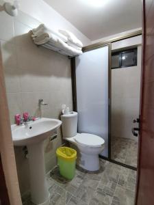 a bathroom with a toilet and a sink at DEPARTAMENTOS OAXACA MÁGICO in Oaxaca City