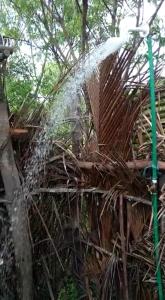 Foto dalla galleria di Mida Creek Nature Camp a Watamu