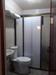 a bathroom with a toilet and a sink at DEPARTAMENTOS OAXACA MÁGICO in Oaxaca City