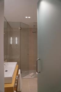 a bathroom with a shower and a sink and a shower backdoor at Flora Baixa Apartments in Lisbon +14 photos