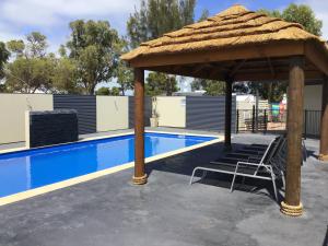 塞杜纳Ceduna Foreshore Caravan Park的泳池旁凉亭下的椅子