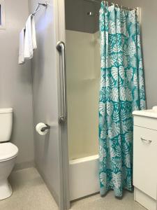 a bathroom with a shower curtain and a toilet at Lake Callide Retreat in Biloela