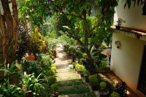 A garden outside Kandy Mountain Cottage