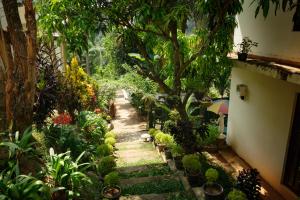 Zahrada ubytování Kandy Mountain Cottage