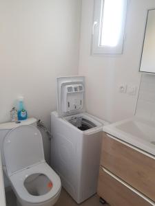 La salle de bains blanche est pourvue de toilettes et d'un lavabo. dans l'établissement Dépendance 29m2 climatisée, à Saint-Gilles